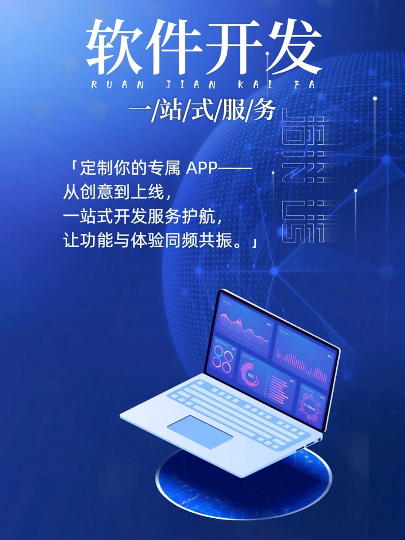 广西丽泰信息科技：软件开发新星闪耀