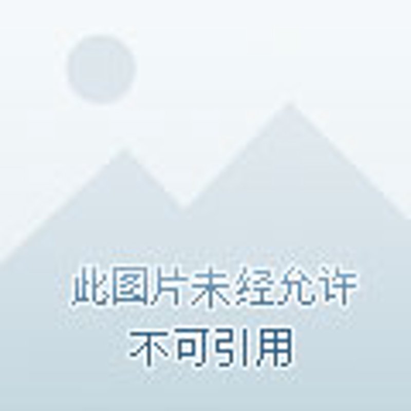 科技引领未来：丽泰信息科技的创新之路